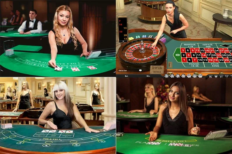 Suasana permainan meja live dengan tampilan dealer